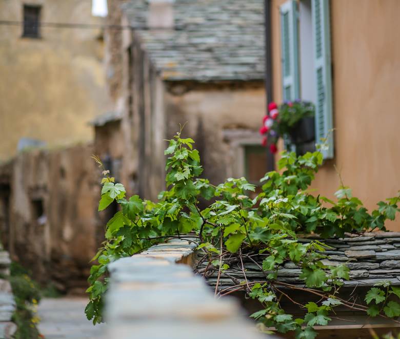 Hameau de Poghju Ersa