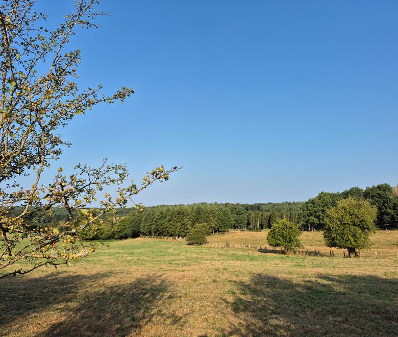 PAYSAGE 2