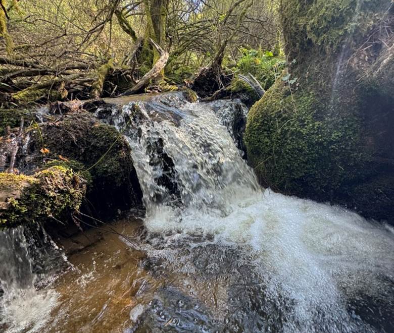 O Moulin du Fieux - Chute d'eau sur le ruisseau