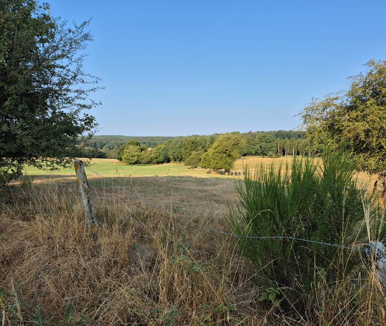PAYSAGE 3
