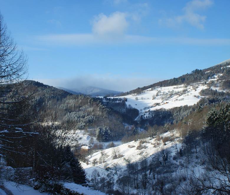 vue sur les collines Vosgiennes en hiver