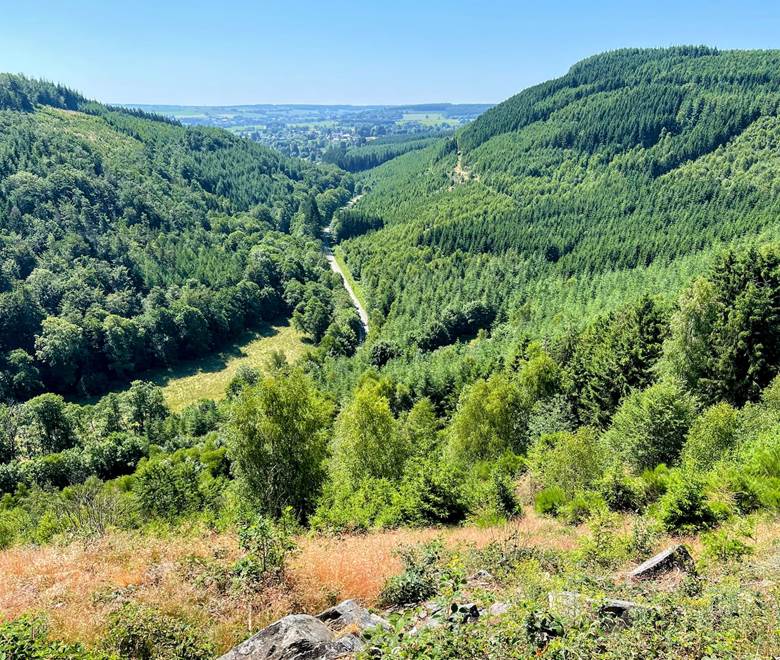 Paysage d'Ardenne