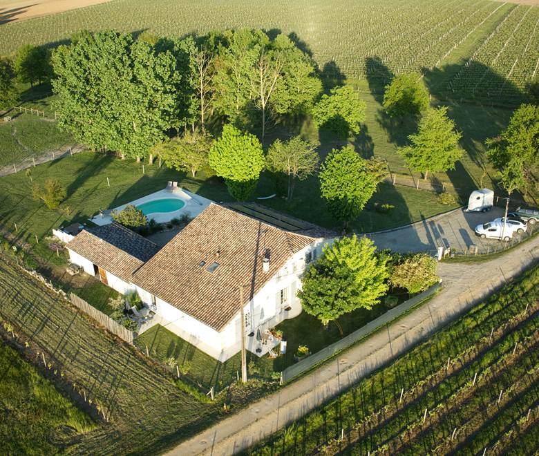 NID DU COUCOU VUE VIGNES