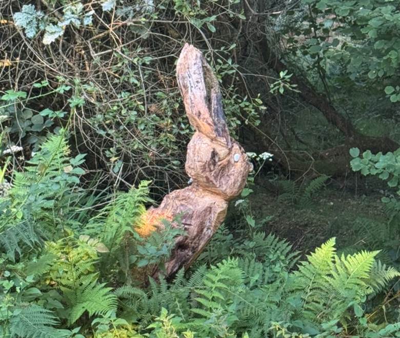 O Moulin du Fieux - Le lapin géant