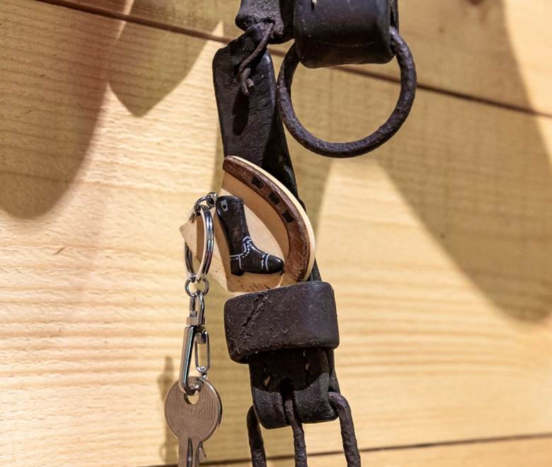 La chambre (PMR) : Thème l'écurie