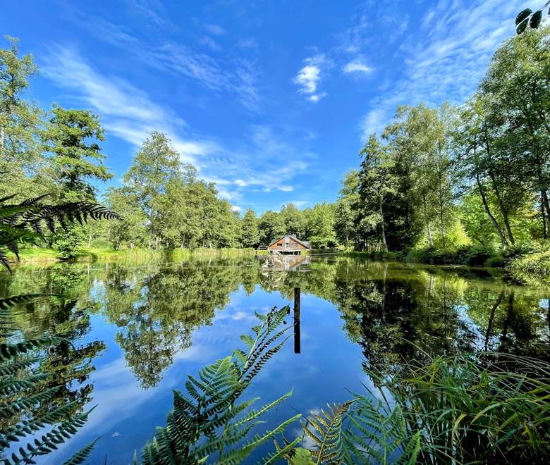 Paysage d'Ardenne