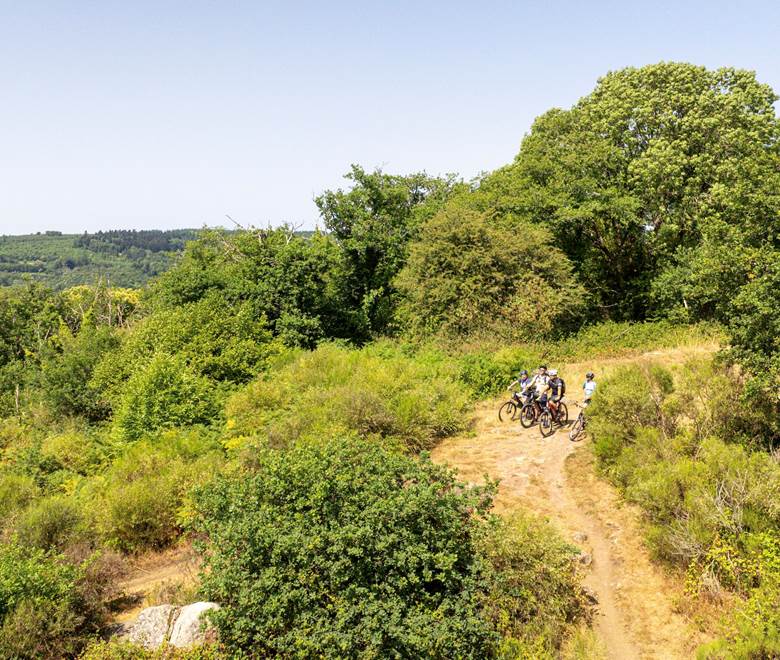 Fôret de Chabrières - Crédit photo : Les Coflocs