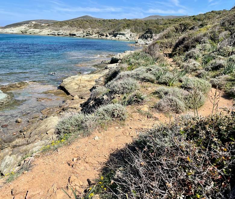 Le sentiers des douaniers Cap Corse
