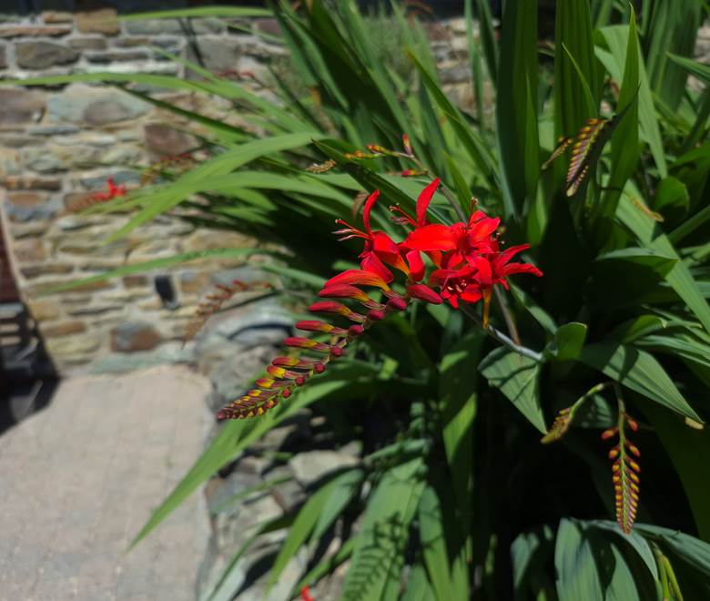 JARDIN 6 