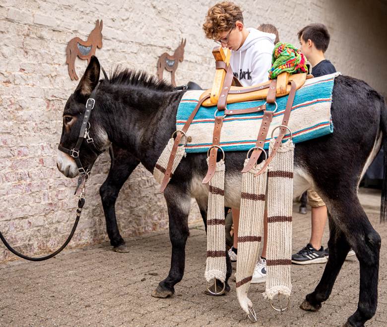 Baudet_d_Ane_Portes_Ouvertes (44)