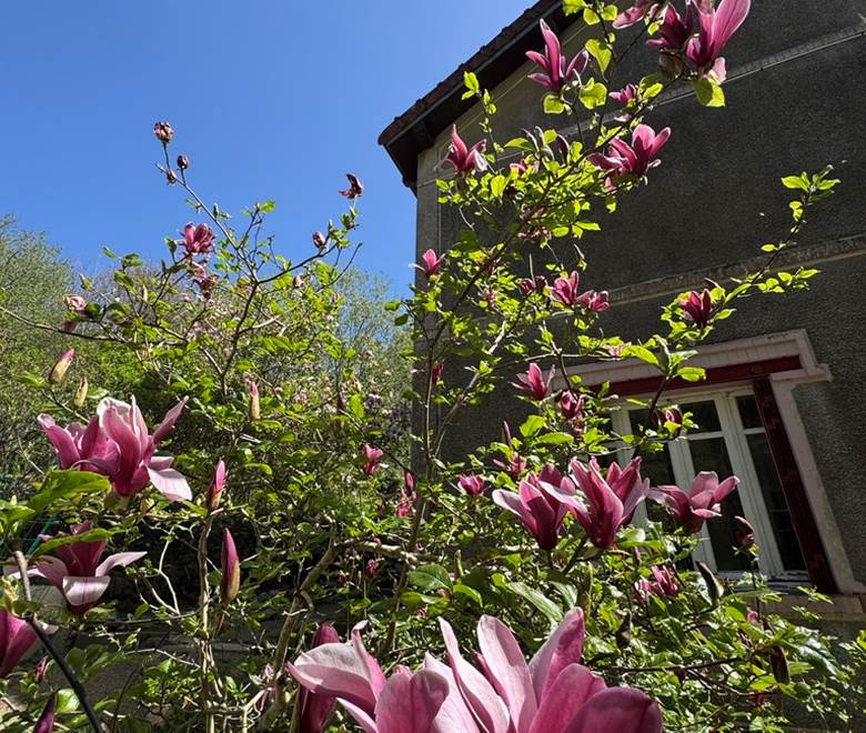 O Moulin du Fieux - Printemps et ses fleurs