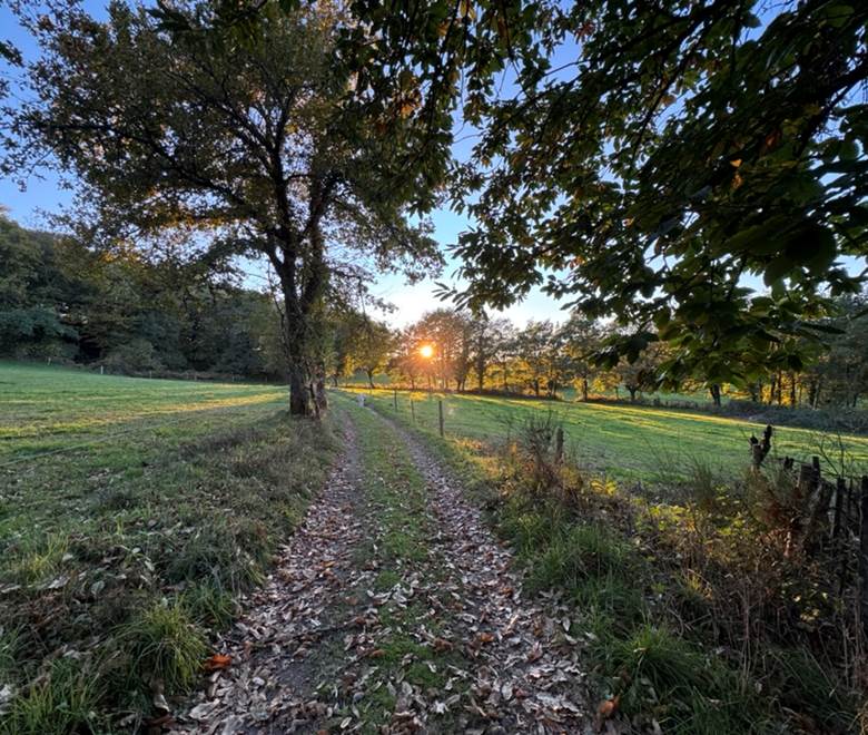Saint Goussaud - Le chemin qui vous attend