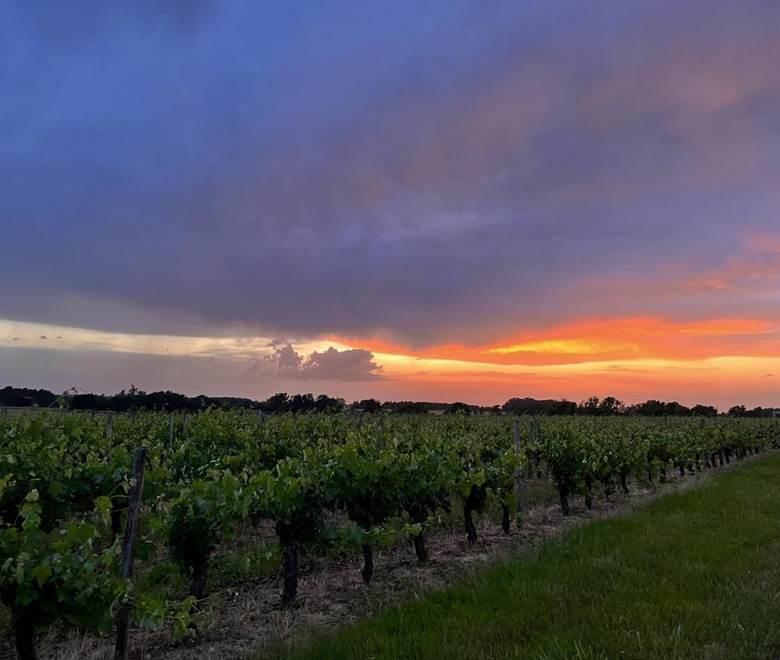 Le nid du coucou - vue chambres d'hôtes