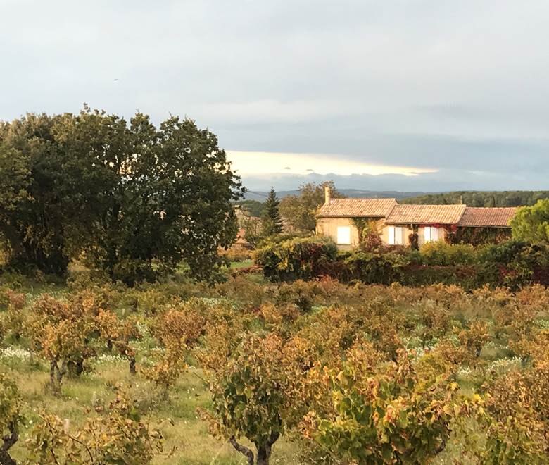 Le Mas Mellou : Chambres d'hôtes et Gîtes