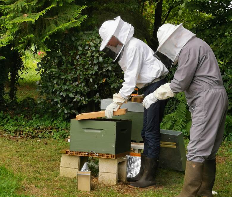 La  ruche Moulin de La Retardière