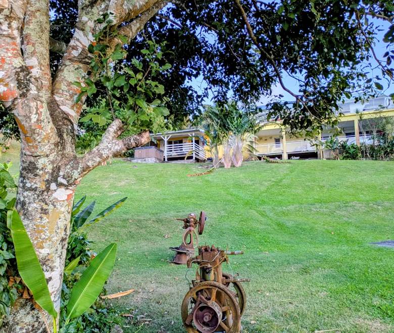 SOLEIL COUCHANT VU DEPUIS LE JARDIN