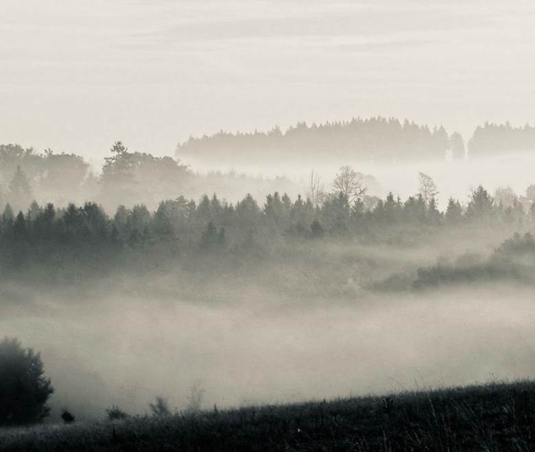 Paysage de brume et de brame 3