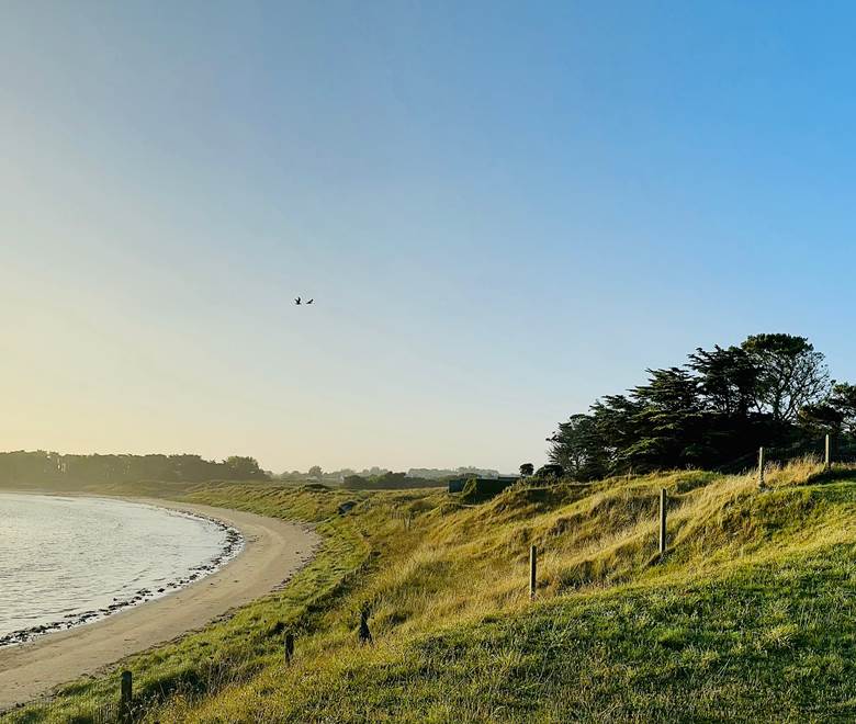 photo-grid-05-09-2023-04-43-15-2