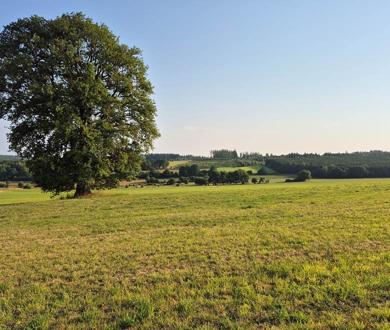 PAYSAGE 1