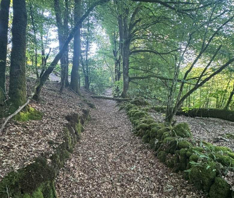 O Moulin du Fieux -  Chemin creux avec murs en pierres sèches