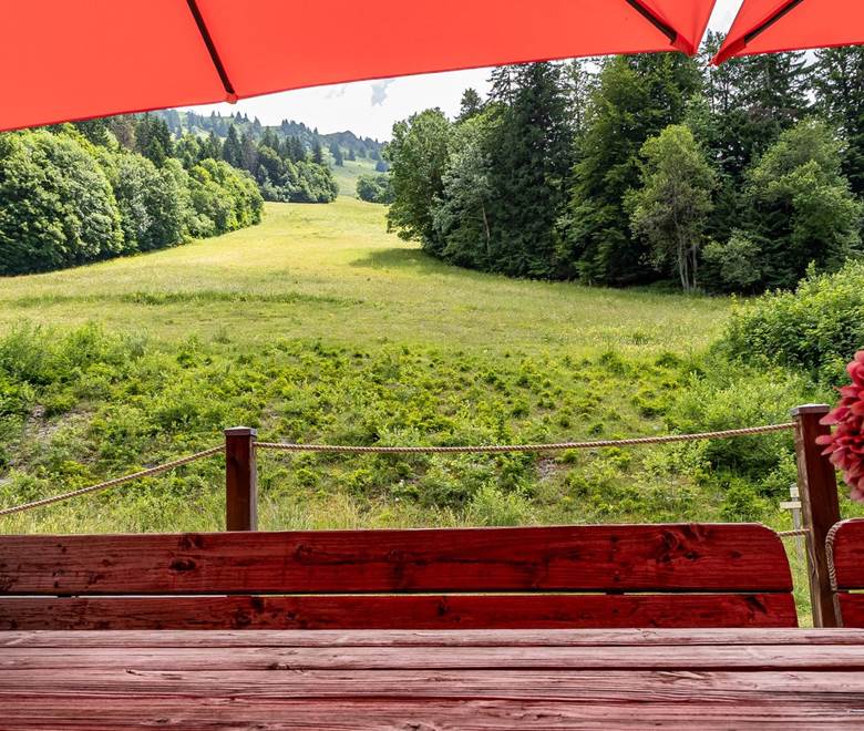 La terrasse avec vue