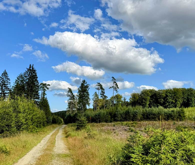 Paysage d'Ardenne