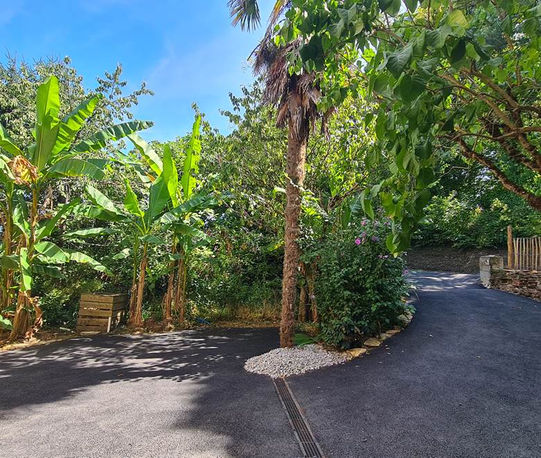 jardinnaturel/palmiers/bananiers