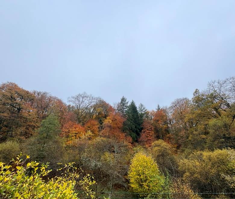 O Moulin du Fieux - Vue de la terrasse en automne