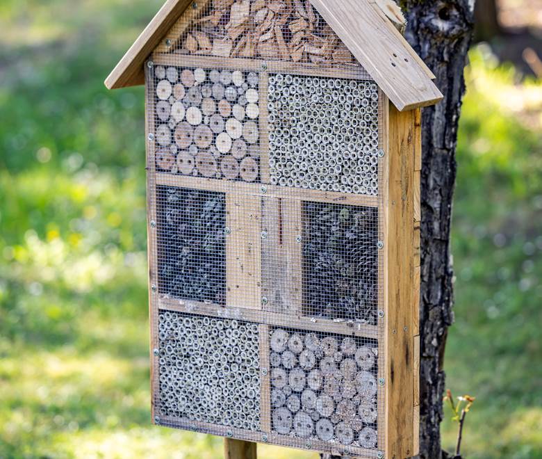 la Biodiversité une priorité au Hameau des Laurières