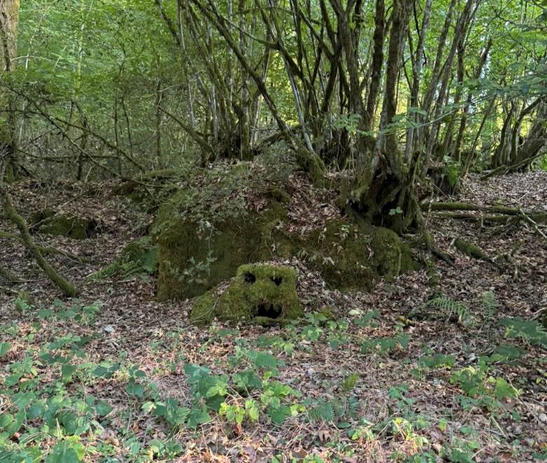 O Moulin du Fieux -  La tortue