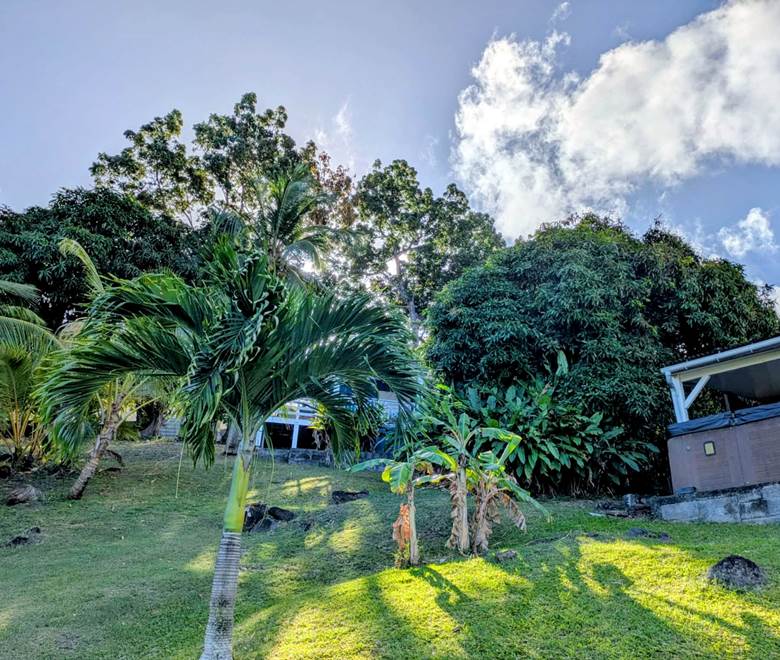 7865ac44-9550-465d-9d23-a77fbcc1d71c