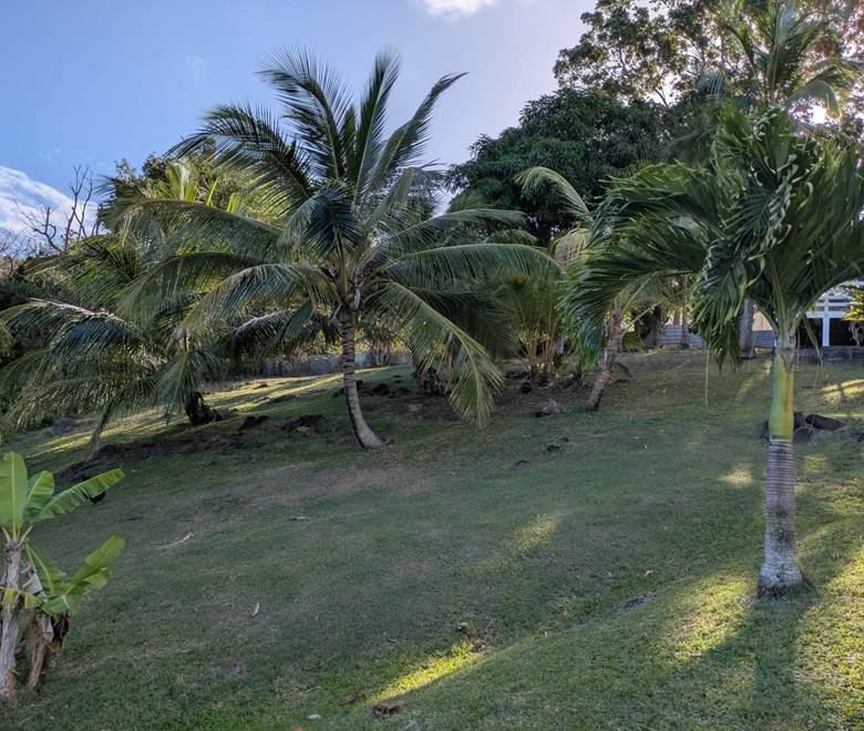 caa5adbe-fa99-4423-a676-736a221ad395