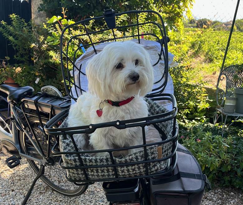 Le Mas Mellou : Accueil Vélo