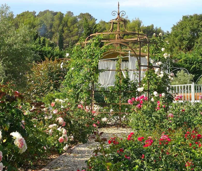 roseraie-gite-alpilles