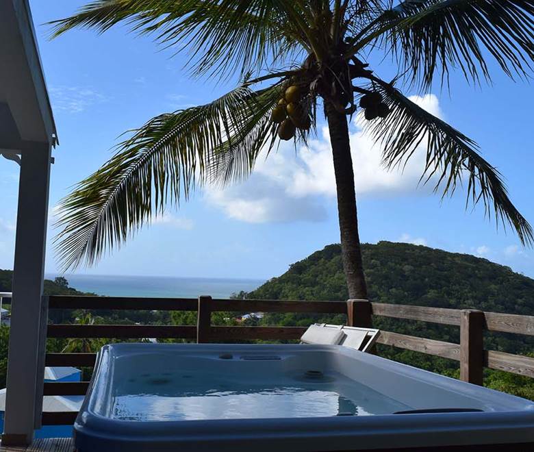 habitation-pineau-241216 (28)