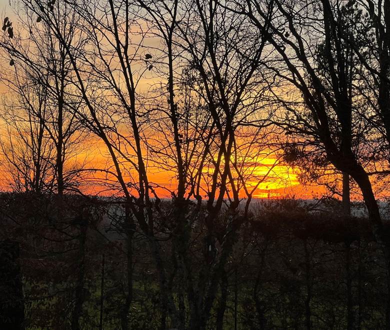 Un coucher de soleil à l'Olivianne