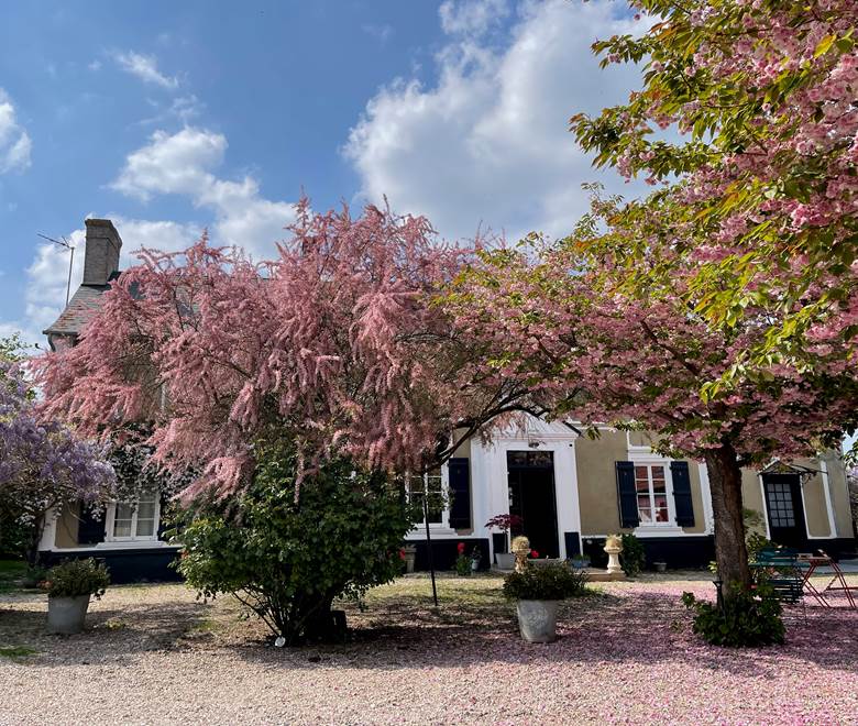 © Au Presbytère de Saigneville