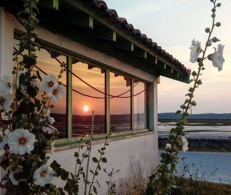 location-vacances-locaplage-200m bassin d'arcachon-lanton