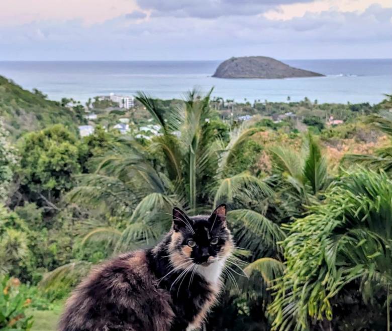 2426b38c-fc54-4d2f-9b05-eed1f897c9a9