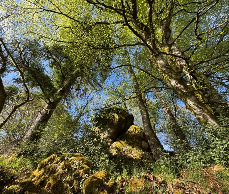 O Moulin du Fieux - Rochers atypiques