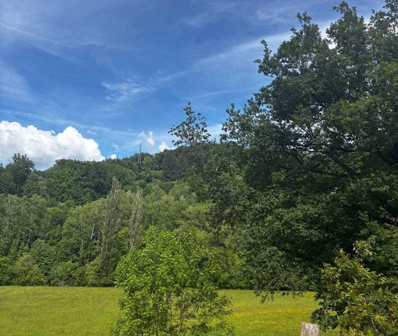 vue de la bulle portrait