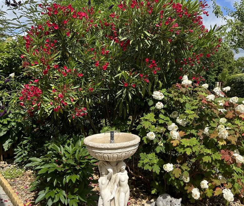 La fontaine fleurie
