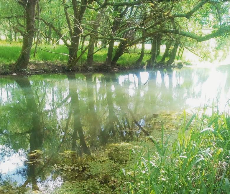 Une promenade au fil de l’eau