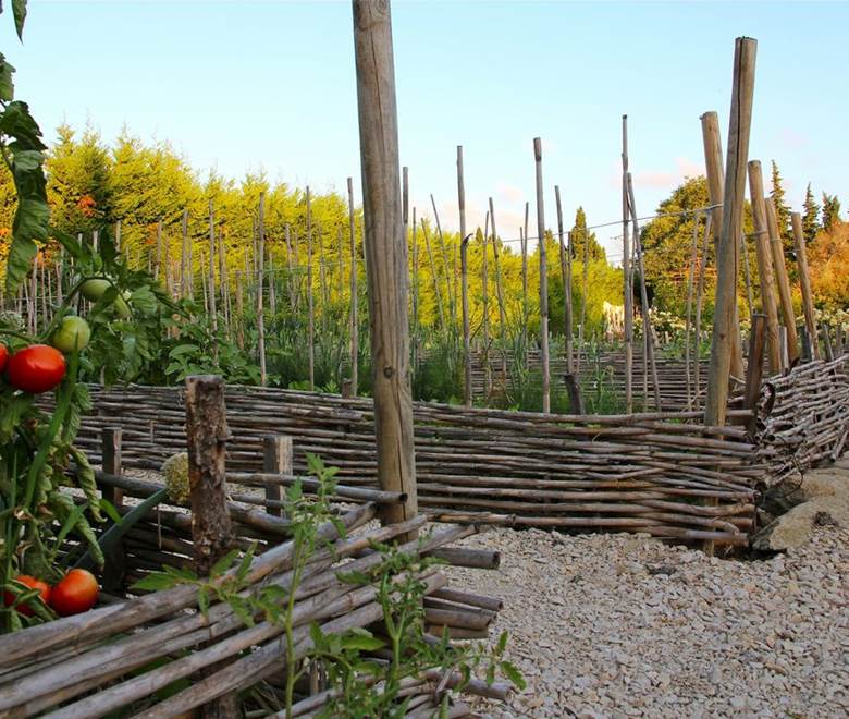 potager-saint-remy-de-provence-bio