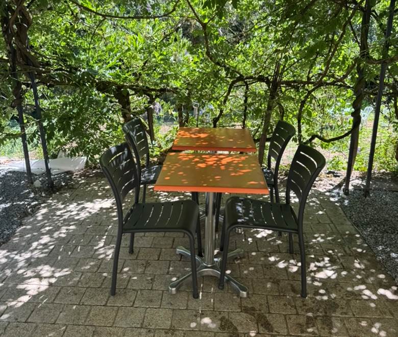 O Moulin du Fieux - Terrasse sous la glycine