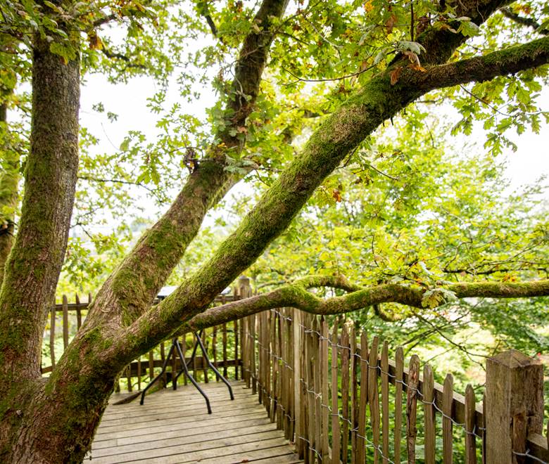 Baudet_d_Ane_Portes_Ouvertes (74)