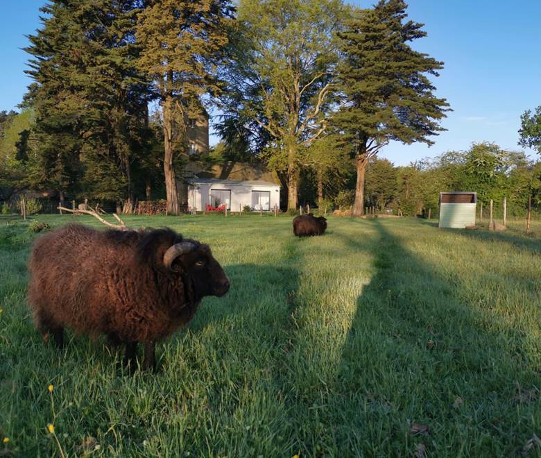 Vue lointaine des chambres d'hôtes du Moulin de la Retardière