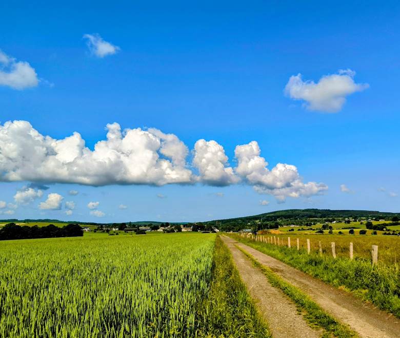 Paysage d'Ardenne