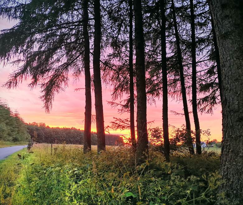 Paysage d'Ardenne
