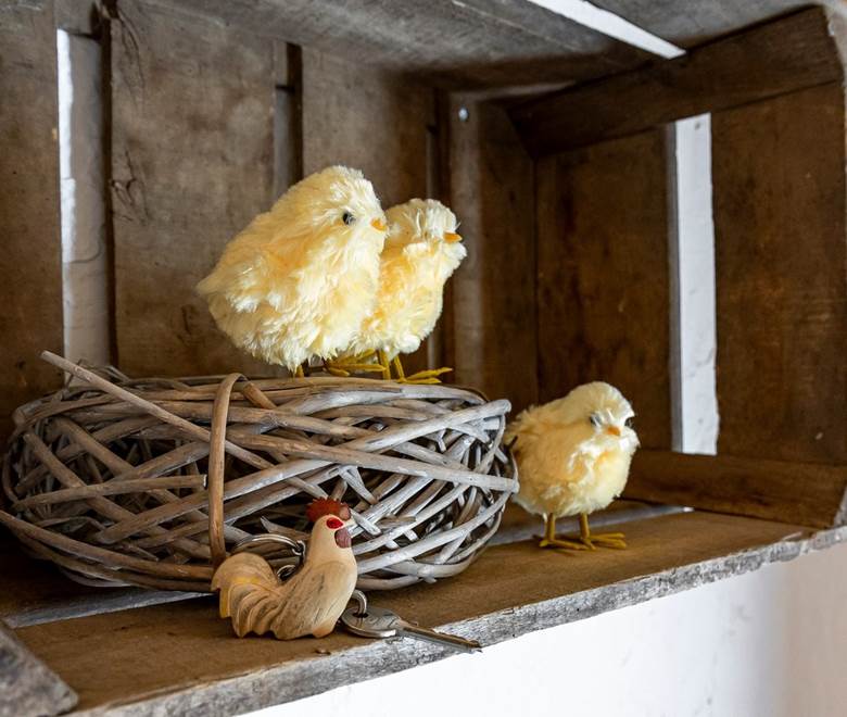 La chambre : Thème le poulailler